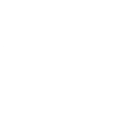 Group 1000001017.png
